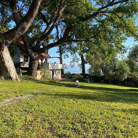 Wild Oaks Cottage Kriopigi Exterior photo