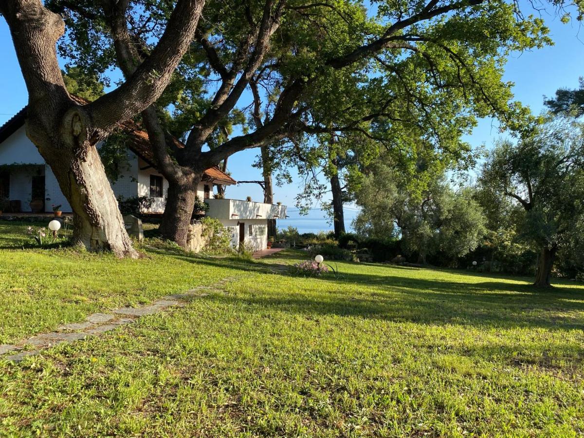 Wild Oaks Cottage Kriopigi Exterior photo