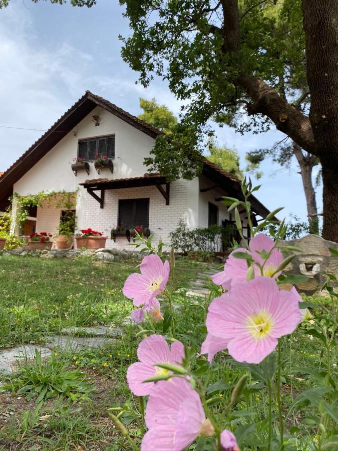 Wild Oaks Cottage Kriopigi Exterior photo