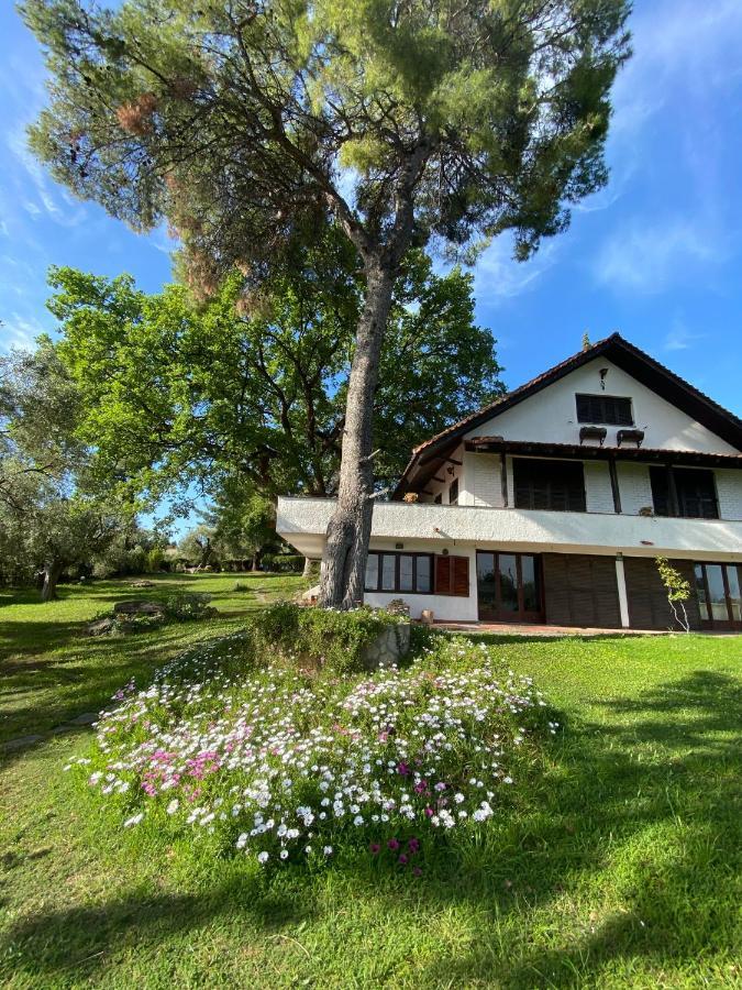 Wild Oaks Cottage Kriopigi Exterior photo